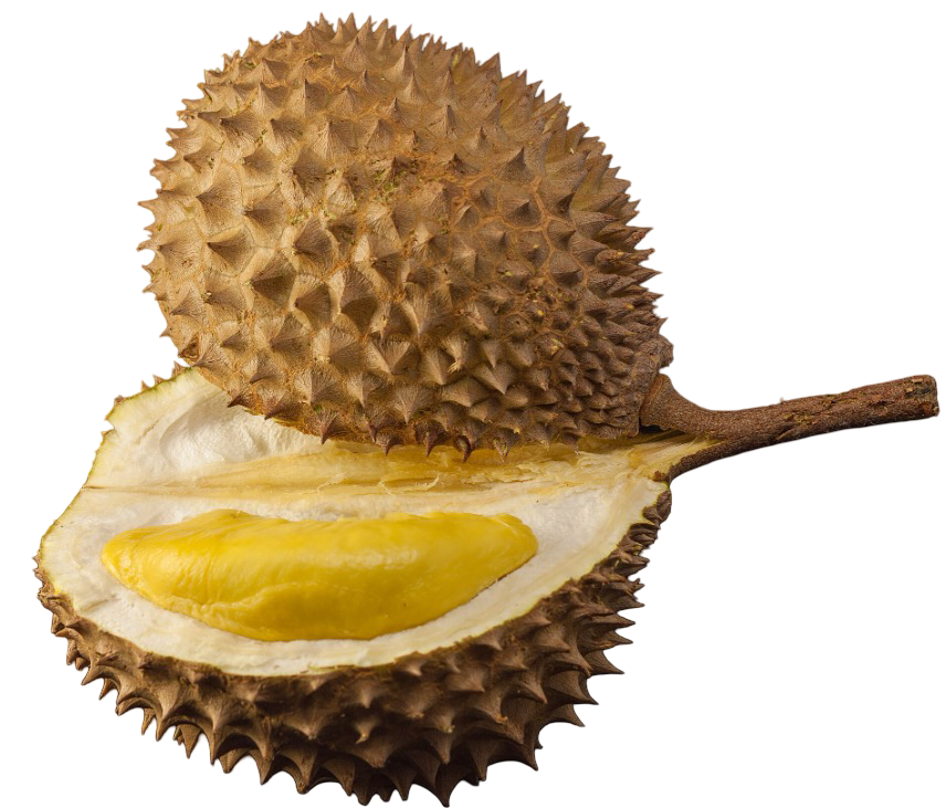 Durian-1kg